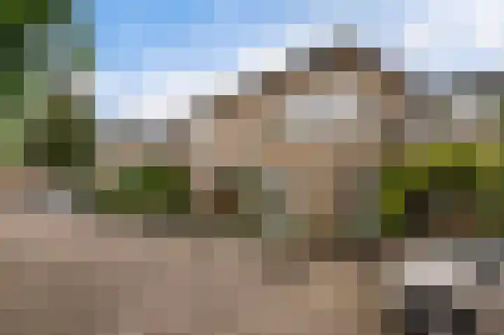 Van der Horstlaan 2 Heemstede thumbnail 21