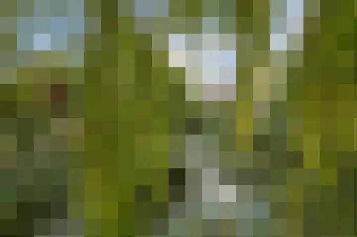 Van der Horstlaan 2 Heemstede thumbnail 23