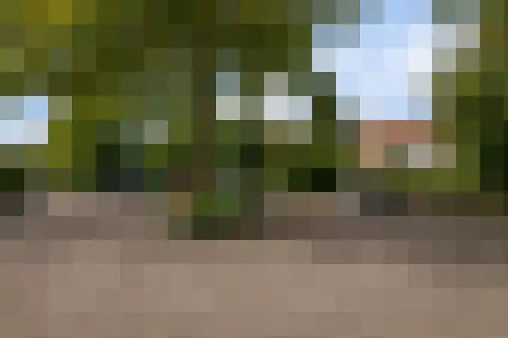 Van der Horstlaan 2 Heemstede thumbnail 24