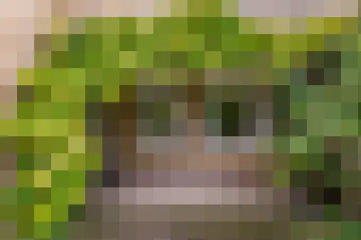 Van der Horstlaan 2 Heemstede thumbnail 5