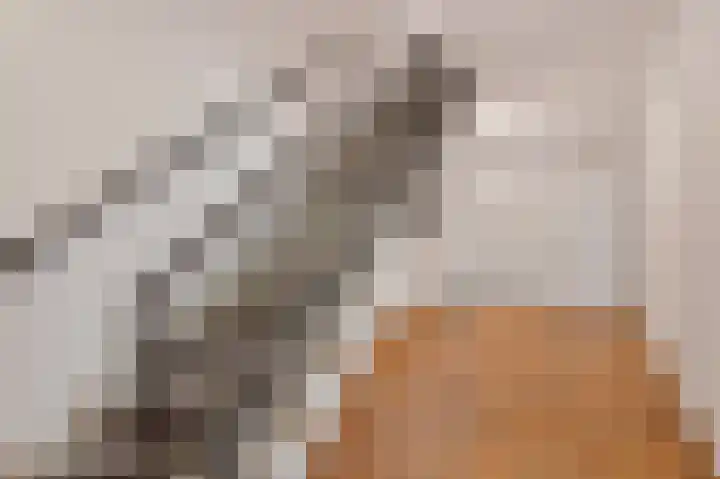 Van der Horstlaan 2 Heemstede thumbnail 7
