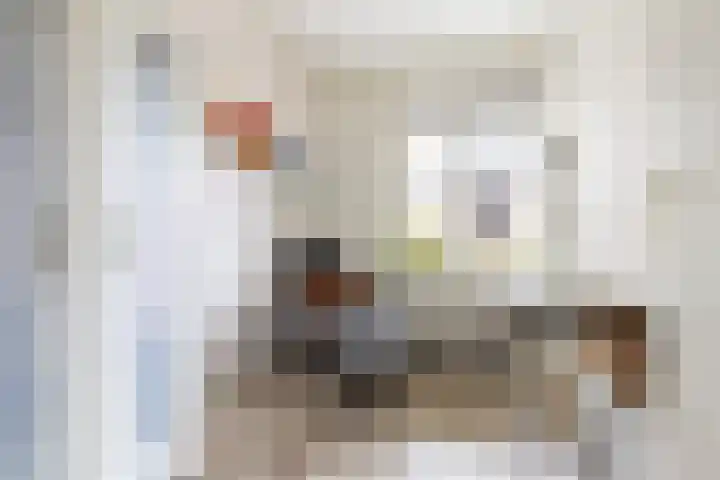 Van der Horstlaan 20 Heemstede thumbnail 14