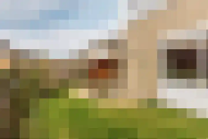 Van der Horstlaan 20 Heemstede thumbnail 20