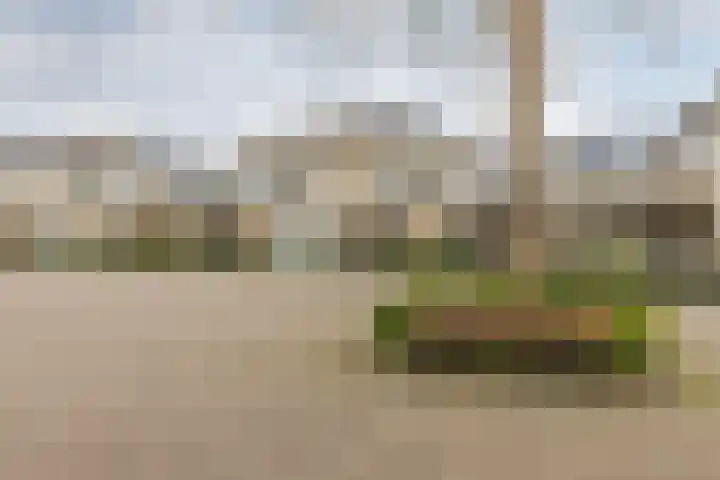 Van der Horstlaan 20 Heemstede thumbnail 23