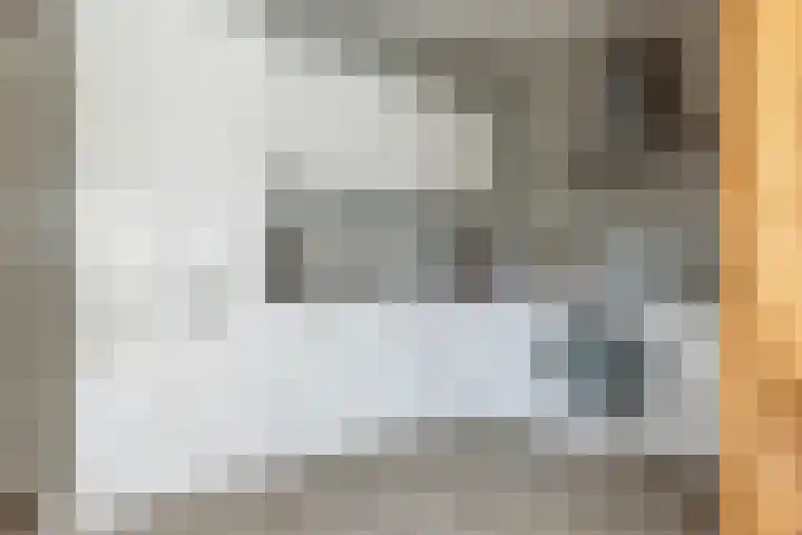 Van der Horstlaan 20 Heemstede thumbnail 8