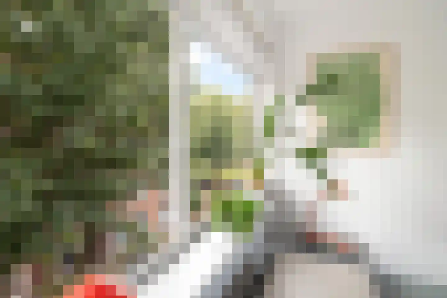 Van der Horststraat 11 F Rotterdam thumbnail 11