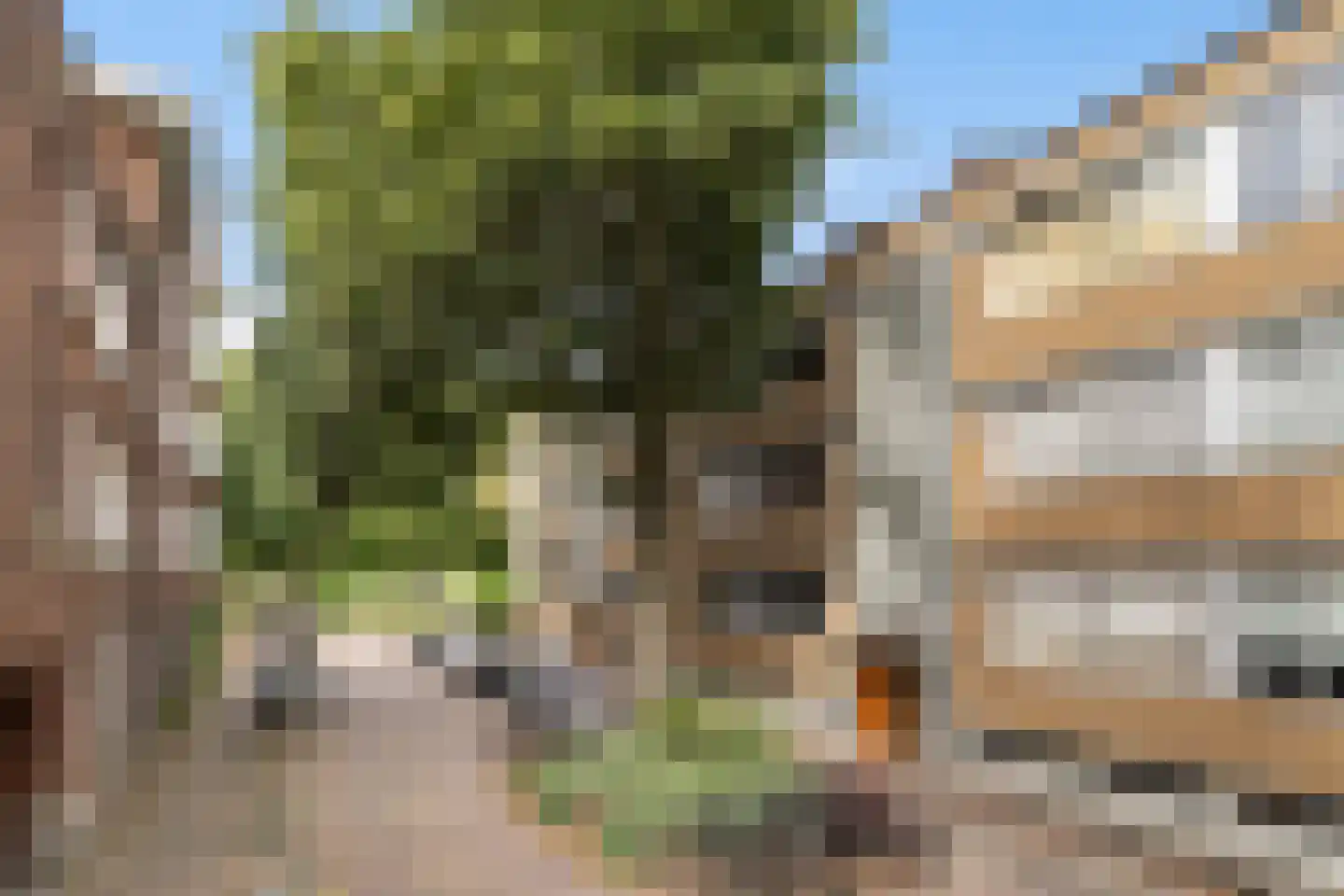 Van der Horststraat 11 F Rotterdam thumbnail 45