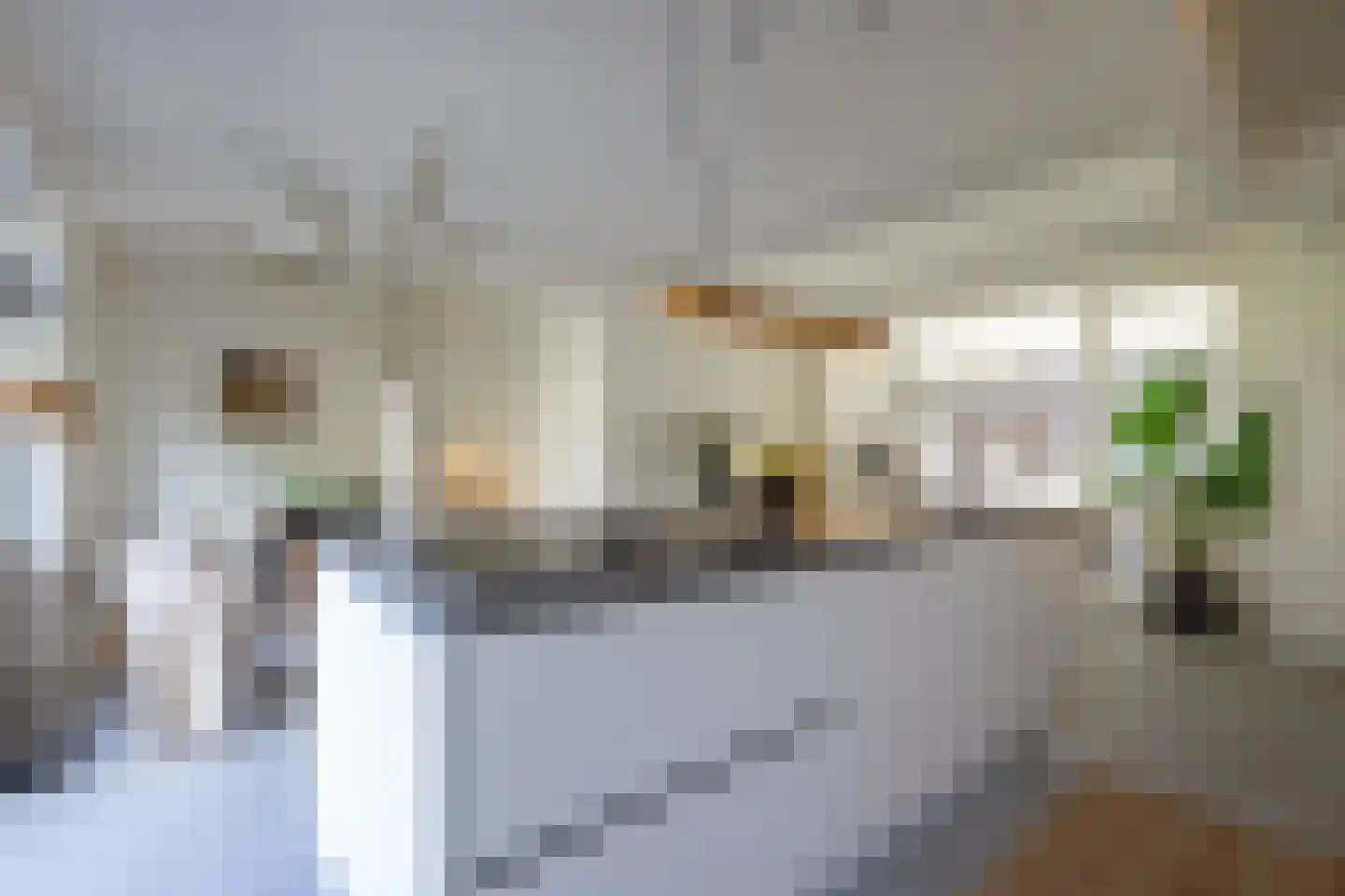 Van der Horststraat 13 A Rotterdam thumbnail 12