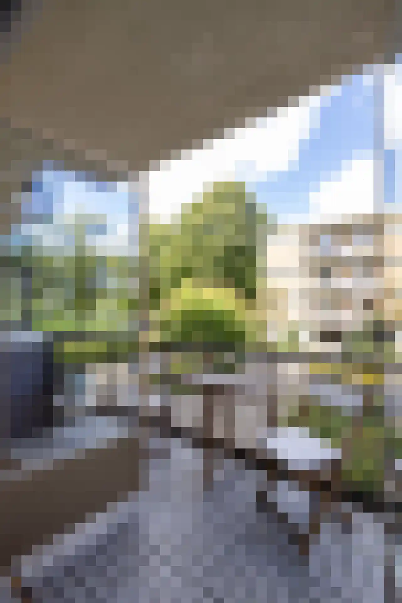Van der Horststraat 13 A Rotterdam thumbnail 22