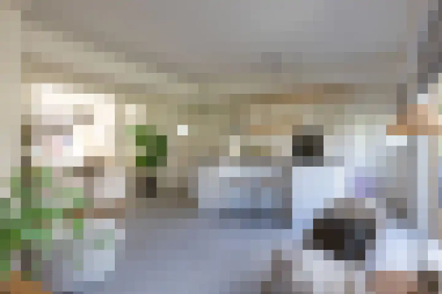 Van der Horststraat 13 A Rotterdam thumbnail 9
