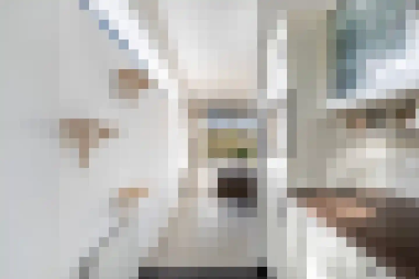 Van der Horststraat 13 D Rotterdam thumbnail 19