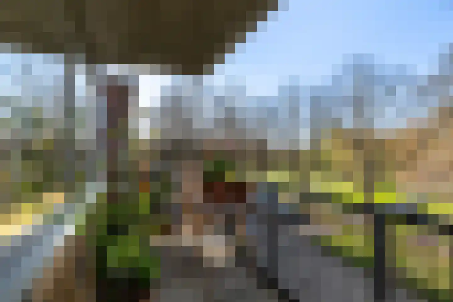 Van der Horststraat 13 D Rotterdam thumbnail 25