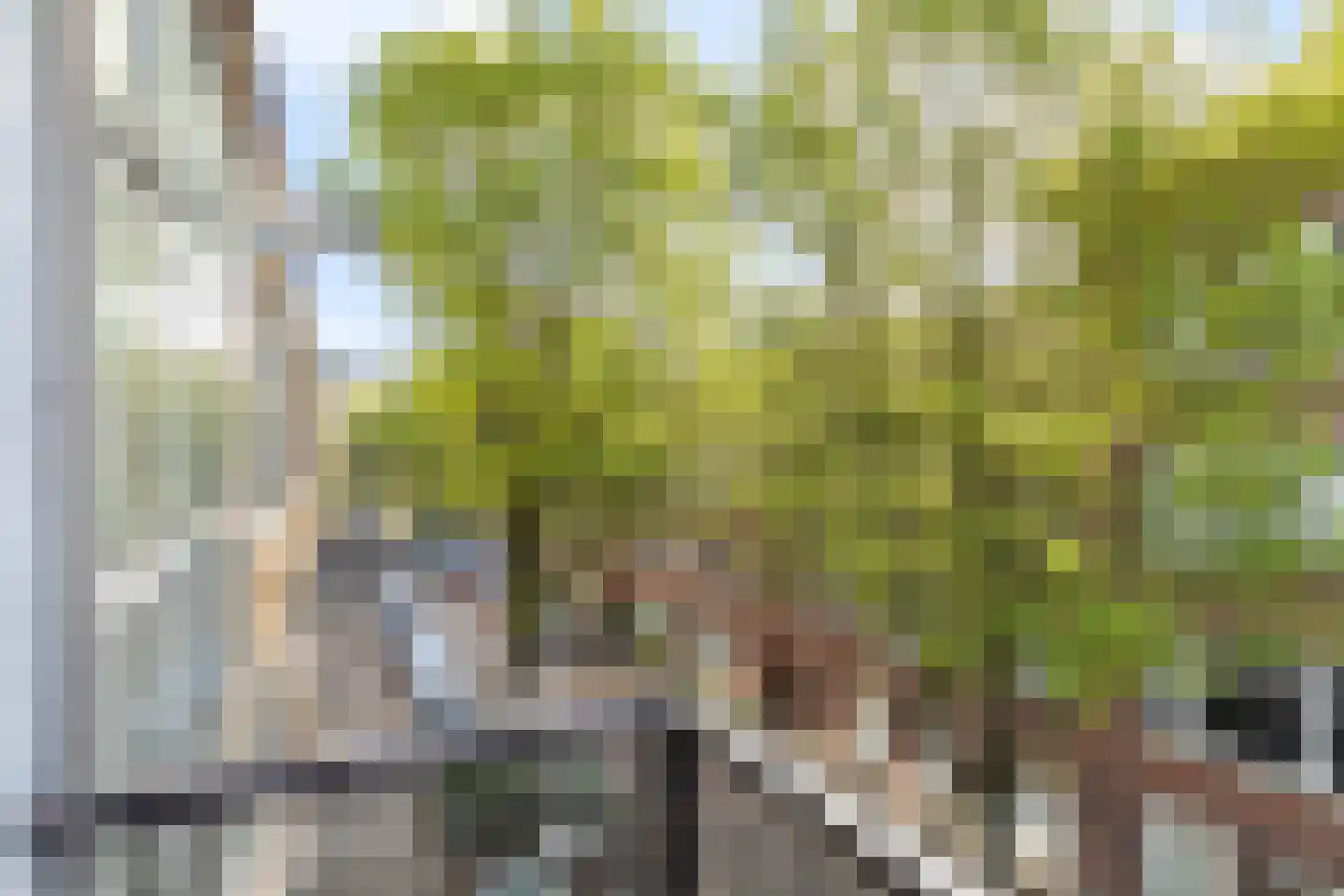 Van der Horststraat 13 D Rotterdam thumbnail 30