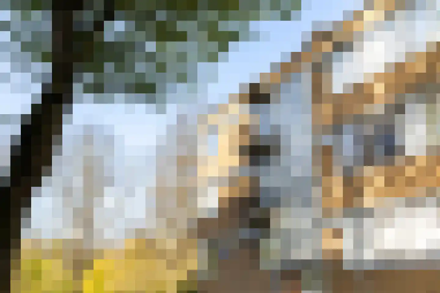 Van der Horststraat 13 D Rotterdam thumbnail 48