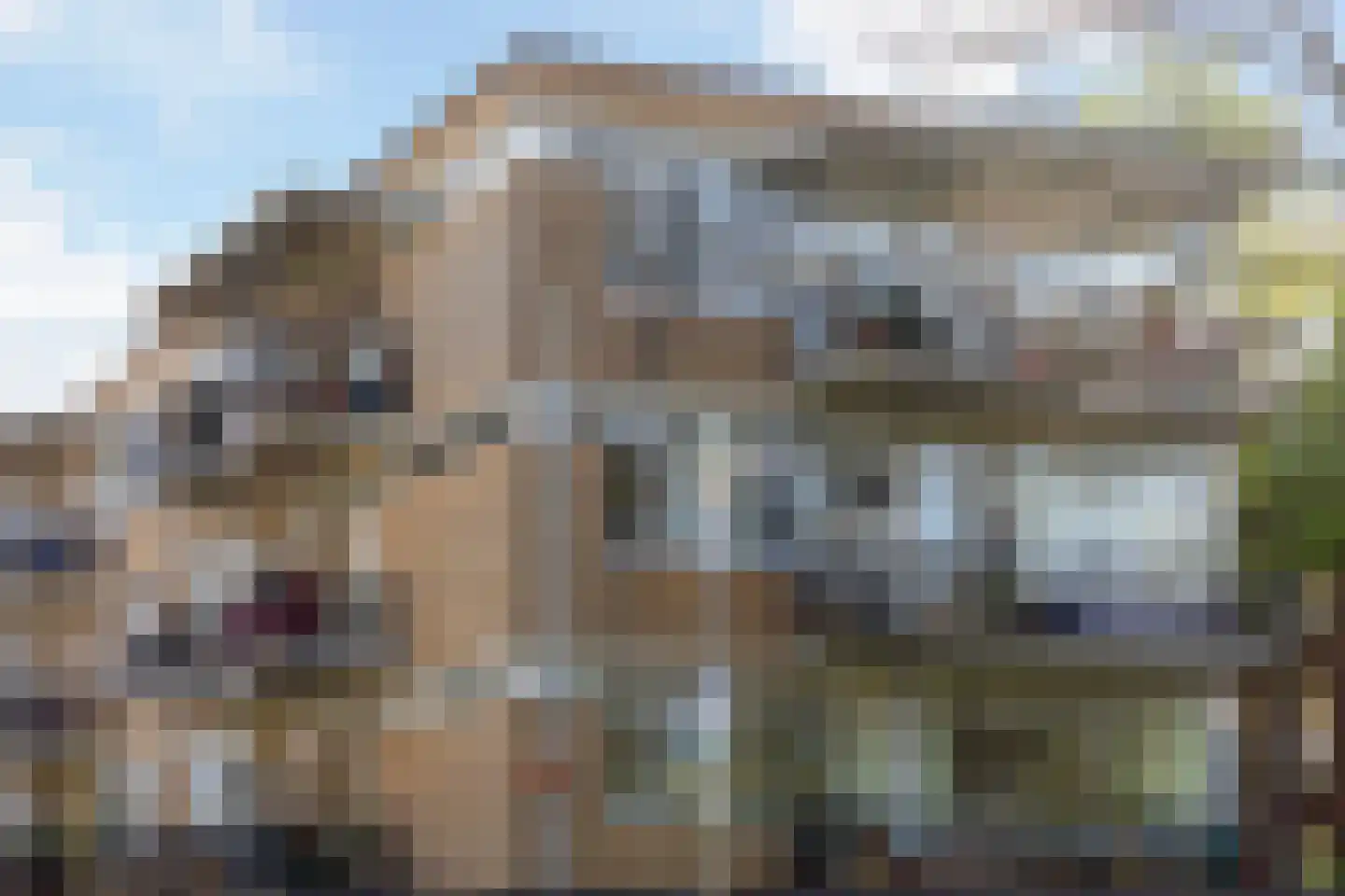 Van der Horststraat 13 D Rotterdam thumbnail 49