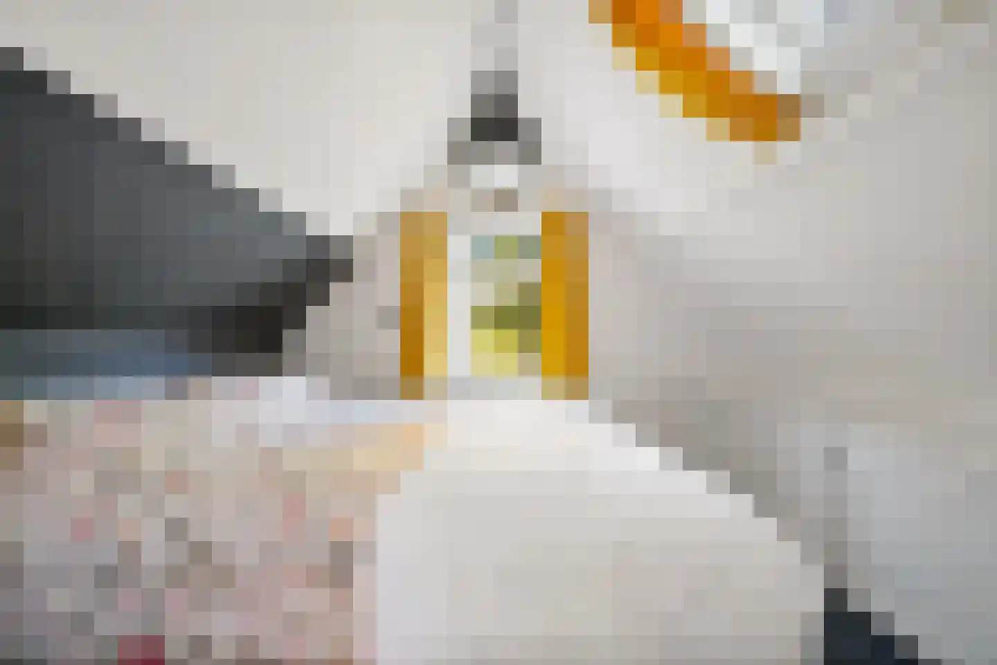 Van der Horststraat 20 Maassluis thumbnail 33
