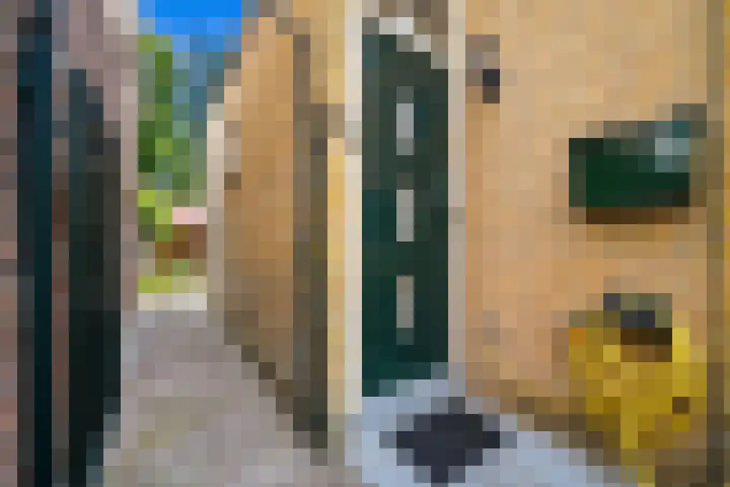 Van der Horststraat 20 Maassluis thumbnail 5