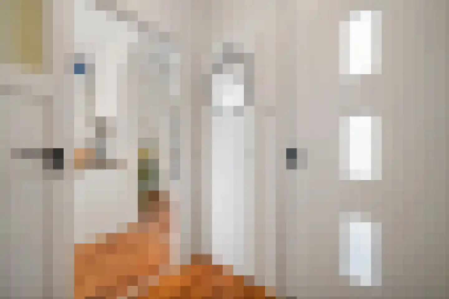 Van der Horststraat 20 Maassluis thumbnail 8