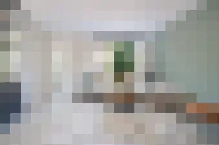 Van der Horststraat 4 Sint-Oedenrode thumbnail 8