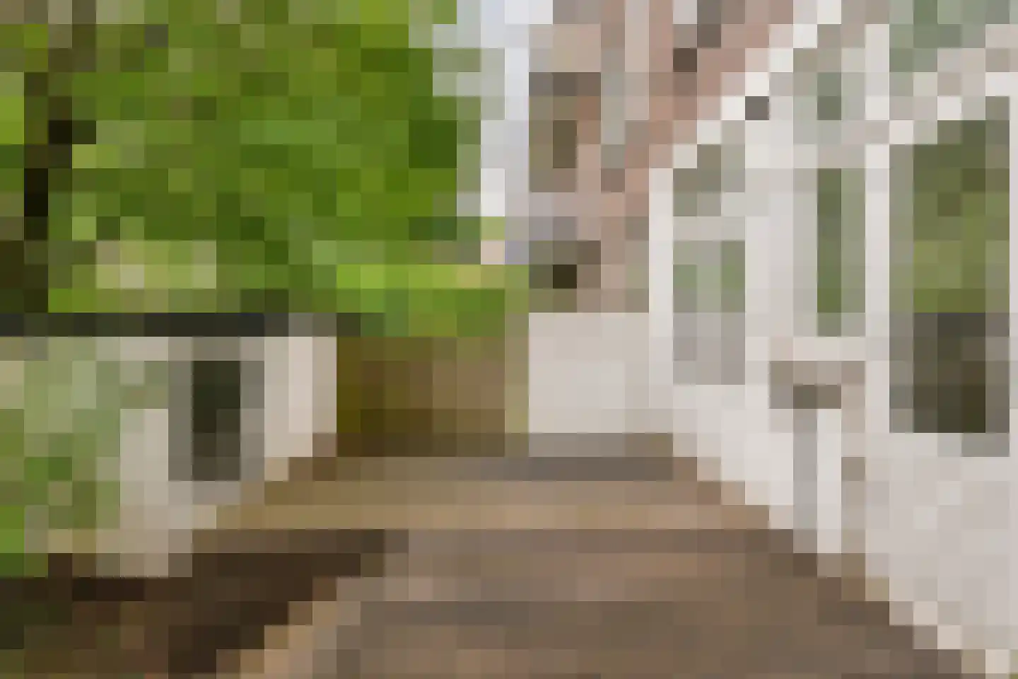 Van der Horststraat 6 B Rotterdam thumbnail 13