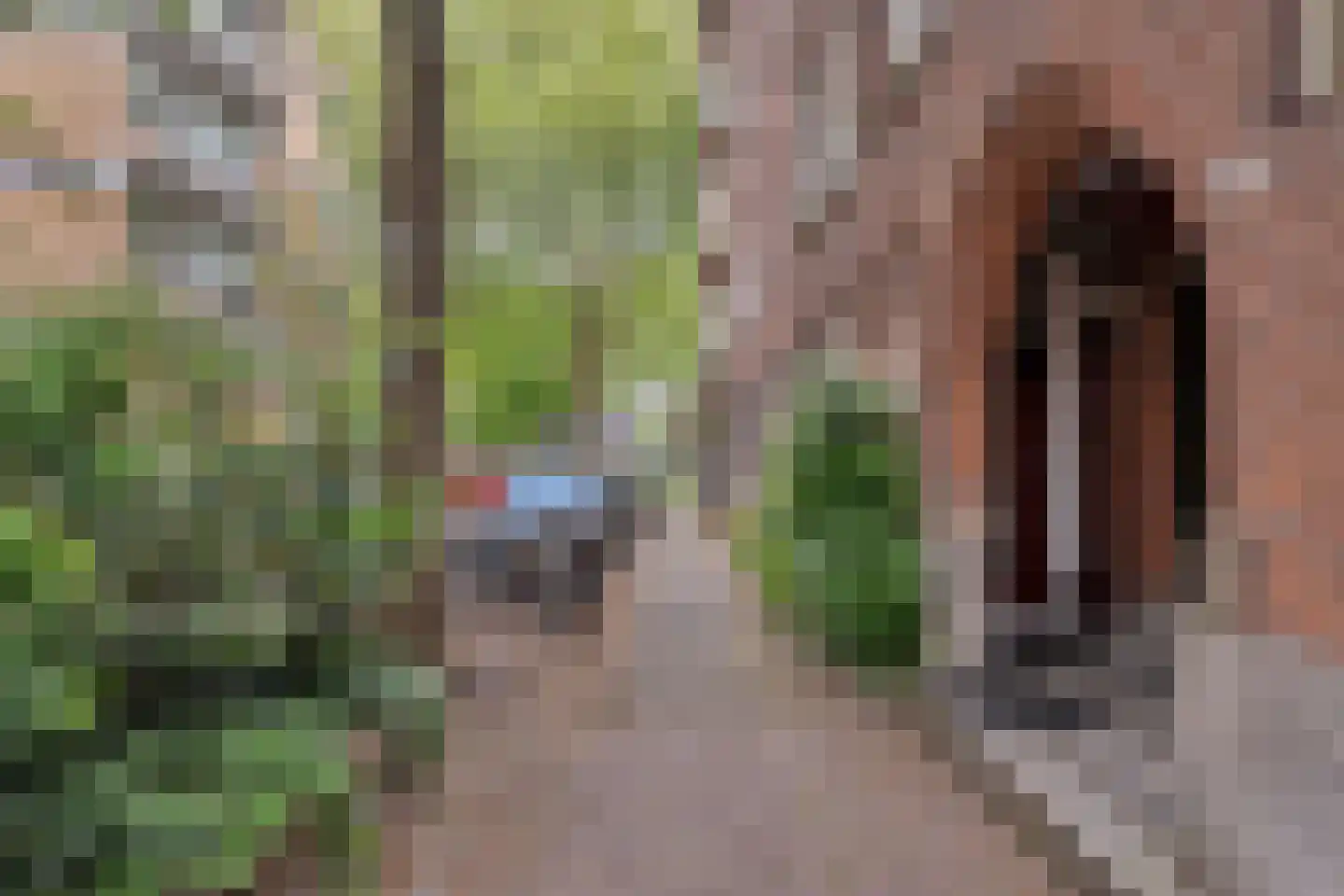 Van der Horststraat 6 B Rotterdam thumbnail 24