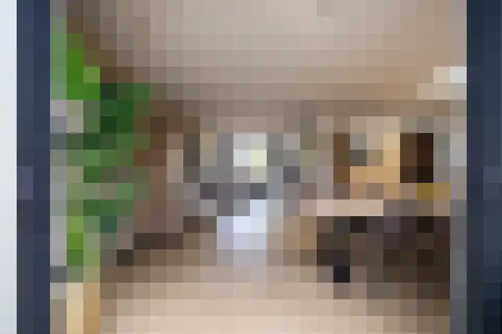 van der Horststraat 6 Boekel thumbnail 14