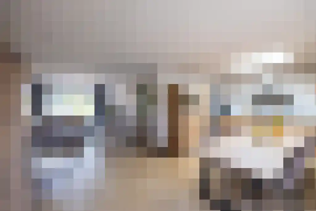 van der Horststraat 6 Boekel thumbnail 15