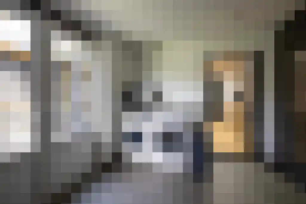 van der Horststraat 6 Boekel thumbnail 16