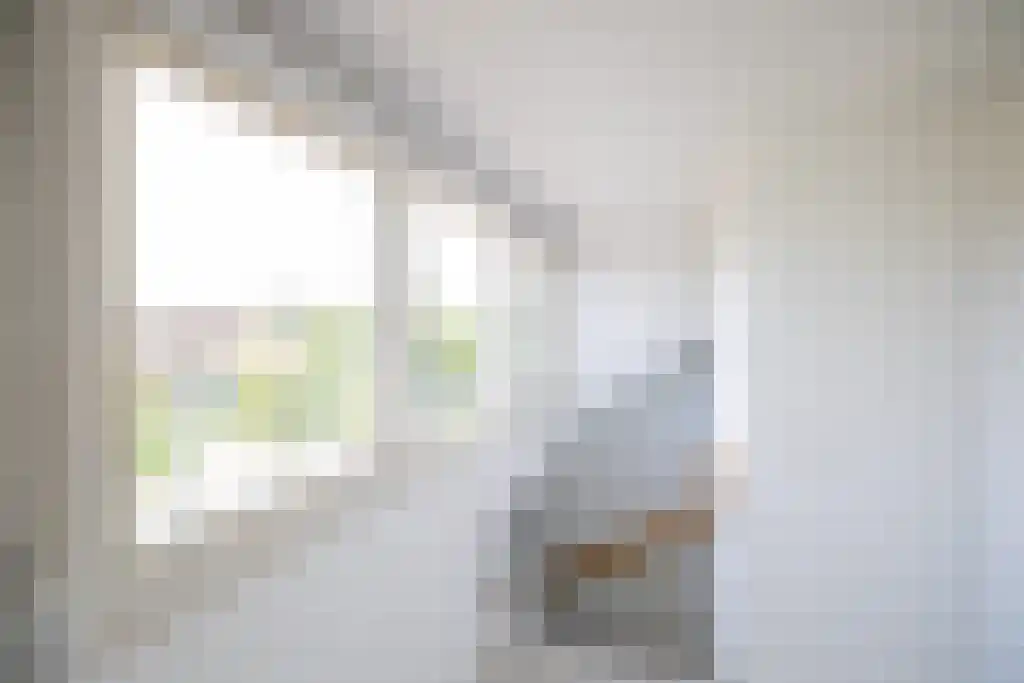 van der Horststraat 6 Boekel thumbnail 35