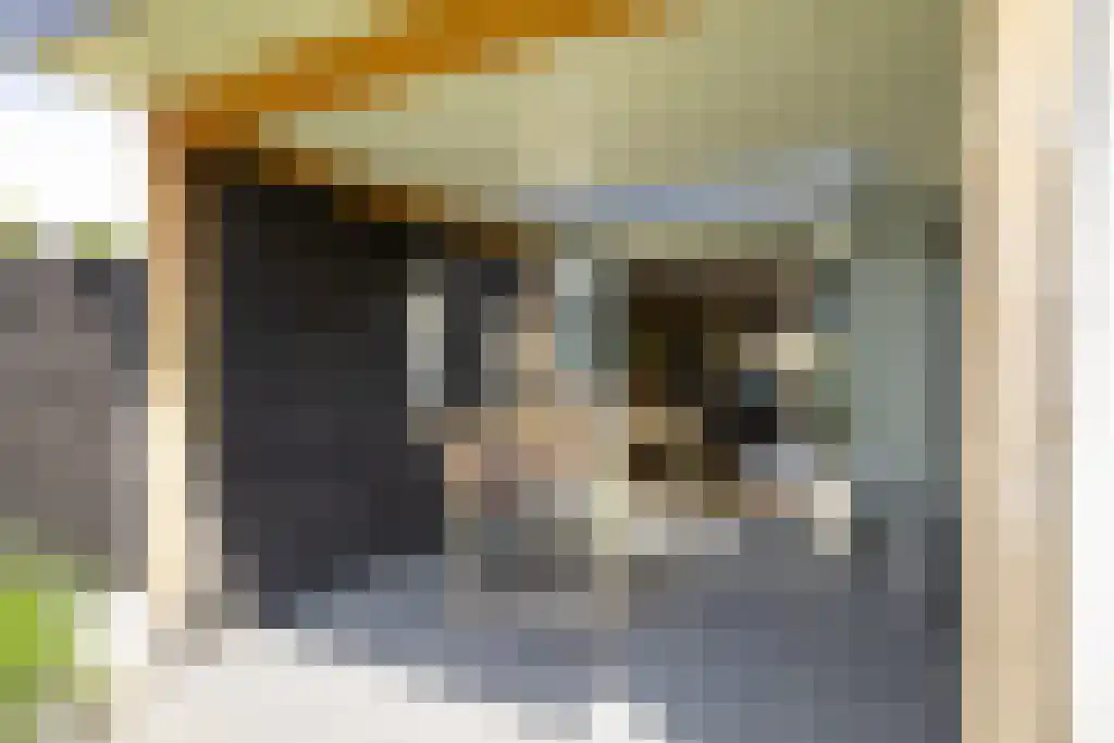 van der Horststraat 6 Boekel thumbnail 41