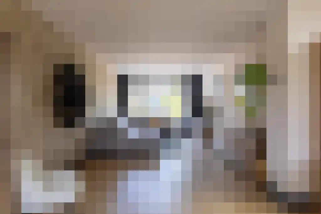 van der Horststraat 6 Boekel thumbnail 9