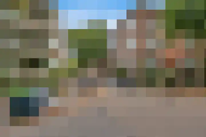 Van der Horststraat 8 B 02 Rotterdam thumbnail 43