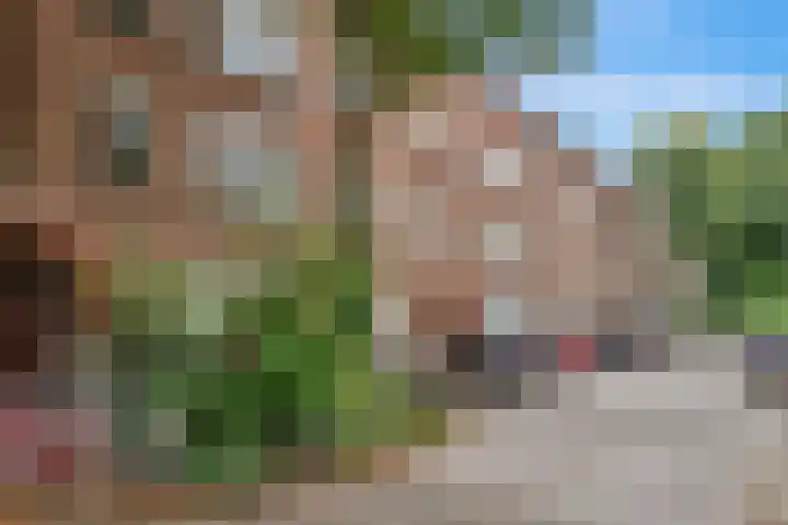 Van der Horststraat 8 B 02 Rotterdam thumbnail 7