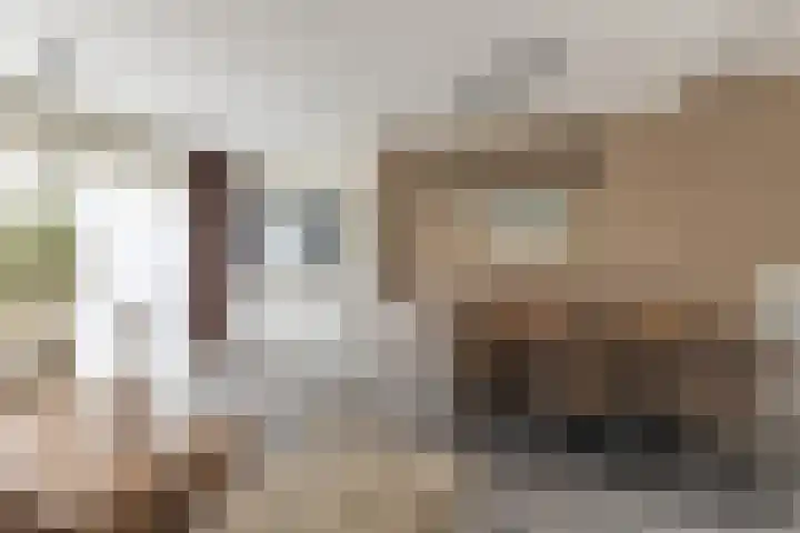Van der Kaaijstraat 38 Alkmaar thumbnail 8