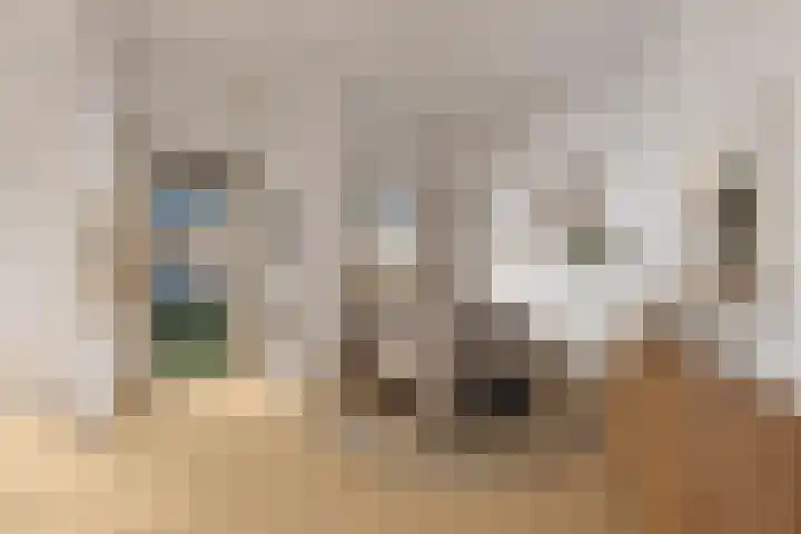 Van der Kaaijstraat 54 Alkmaar thumbnail 7
