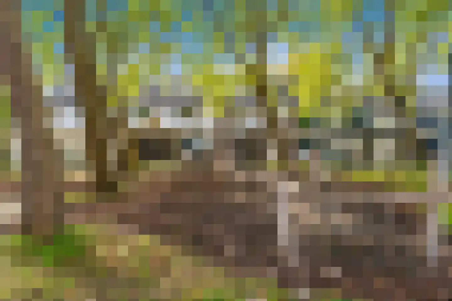 Van der Kamlaan 23 Delft thumbnail 45