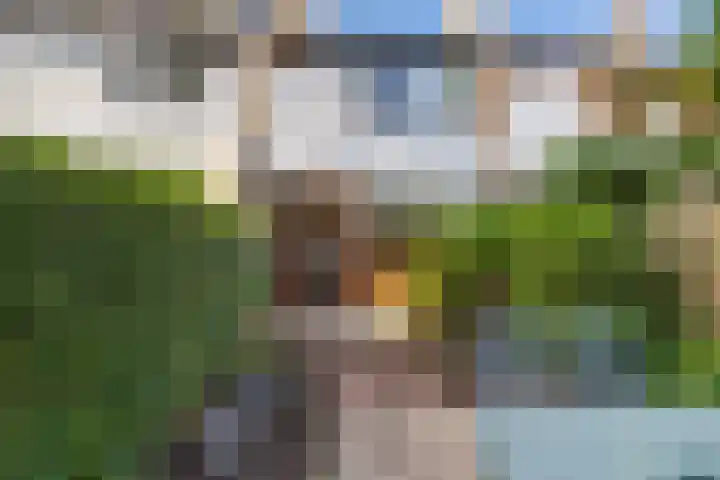 Van der Kamlaan 38 Delft thumbnail 16