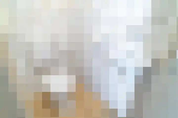 Van der Kamlaan 38 Delft thumbnail 18