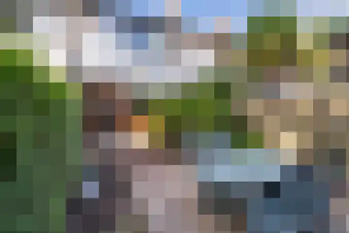 Van der Kamlaan 38 Delft thumbnail 4