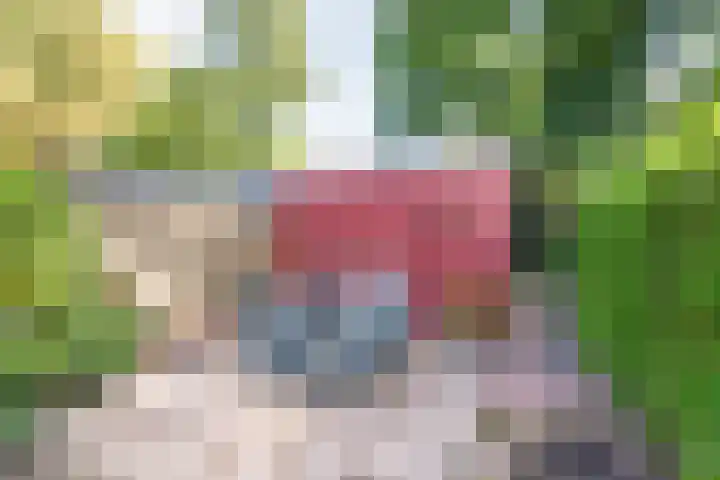Van der Kamlaan 38 Delft thumbnail 9