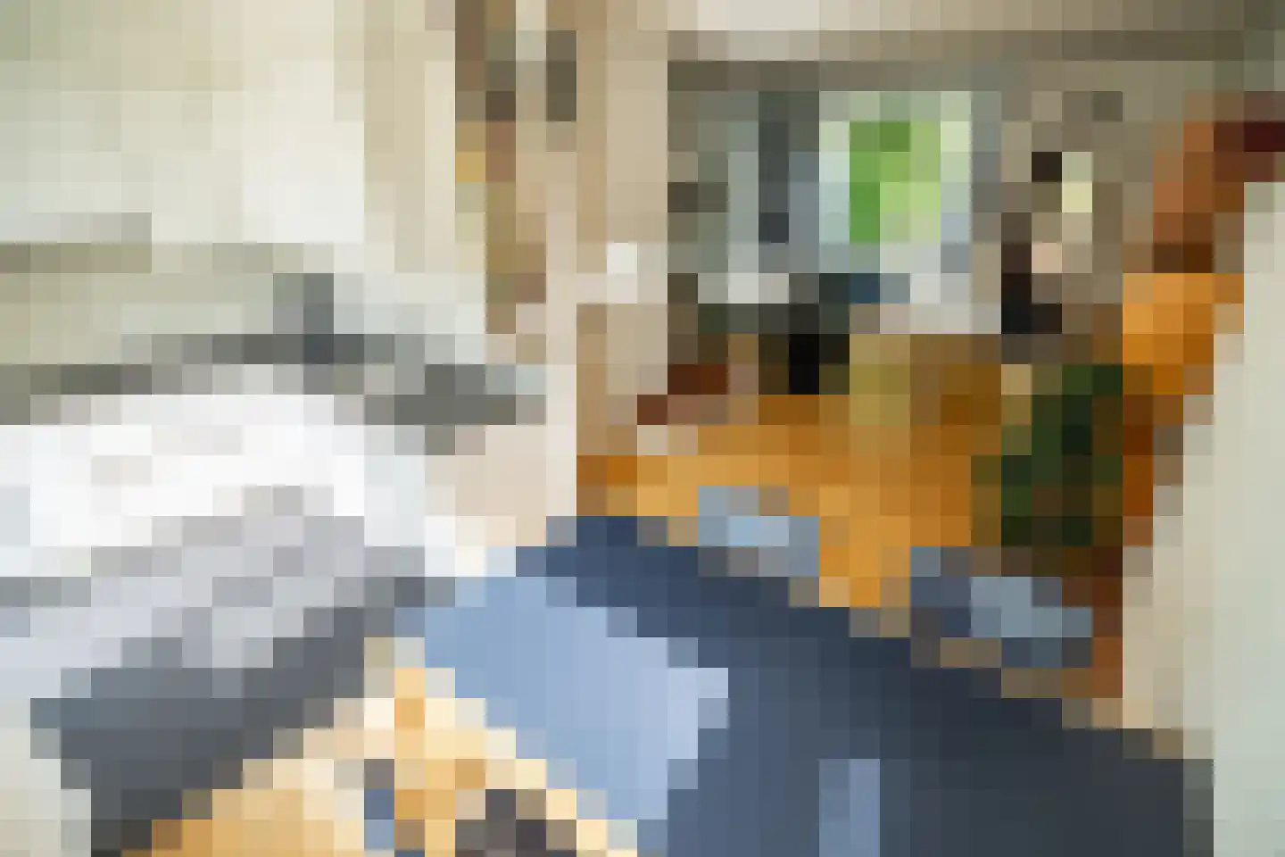 Van der Kamlaan 71 Delft thumbnail 18