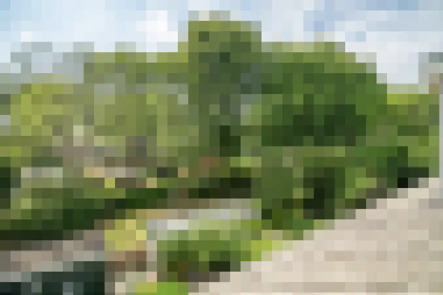 Van der Kamlaan 71 Delft thumbnail 55