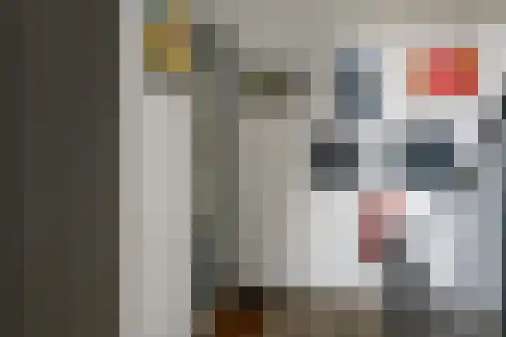 Van der Kempstraat 1 Nijmegen thumbnail 7