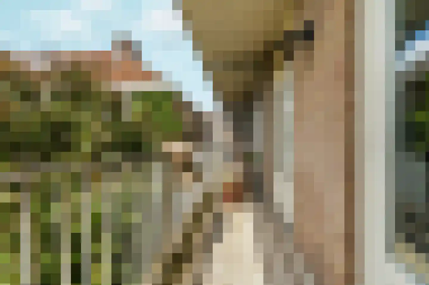 Van der Kempstraat 10 Nijmegen thumbnail 7