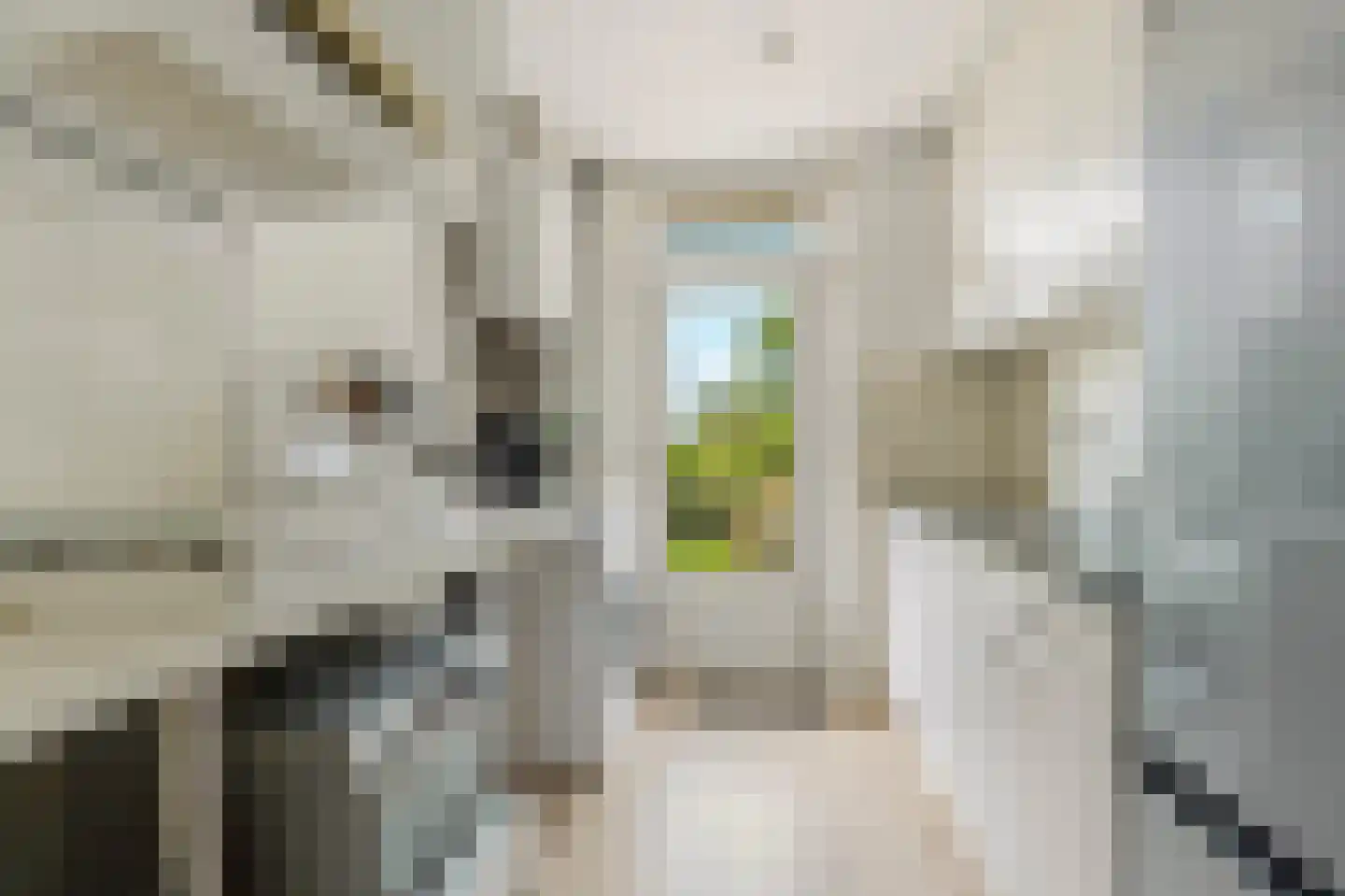 Van der Kempstraat 10 Nijmegen thumbnail 9