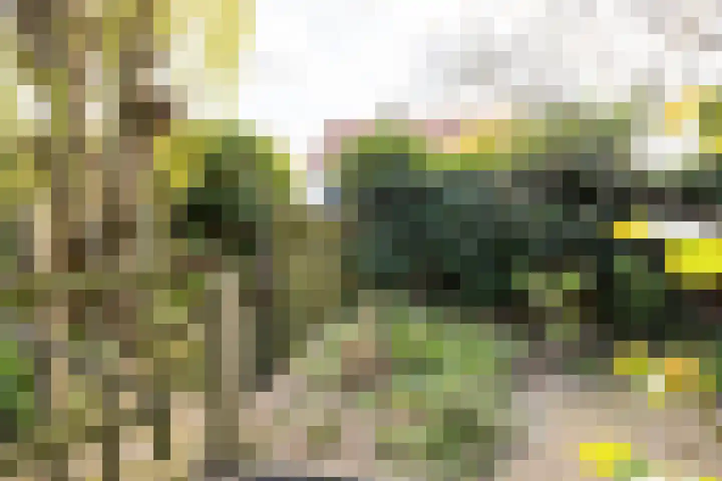 Van der Kempstraat 12 Nijmegen thumbnail 22