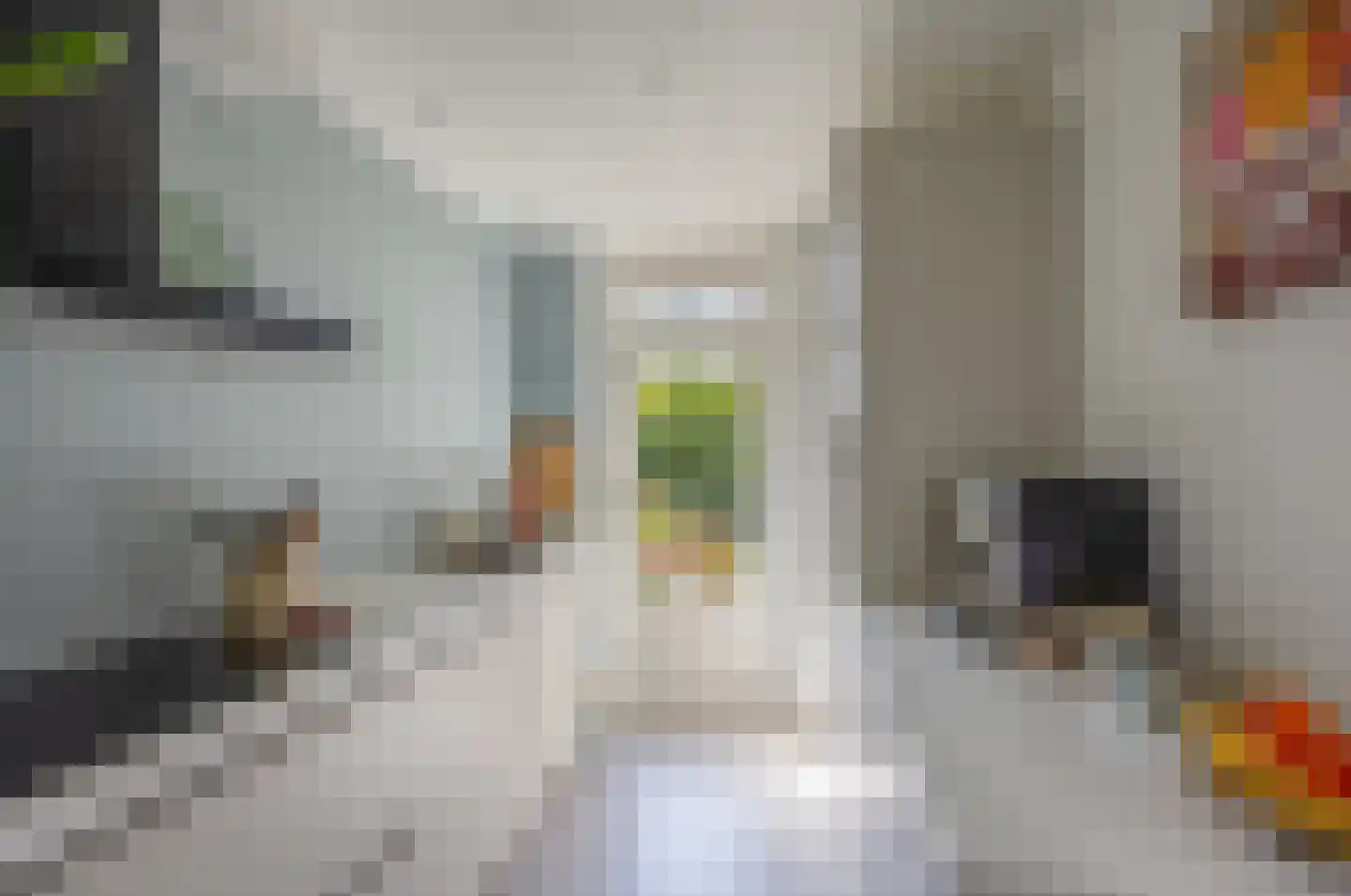 Van der Kempstraat 12 Nijmegen thumbnail 6