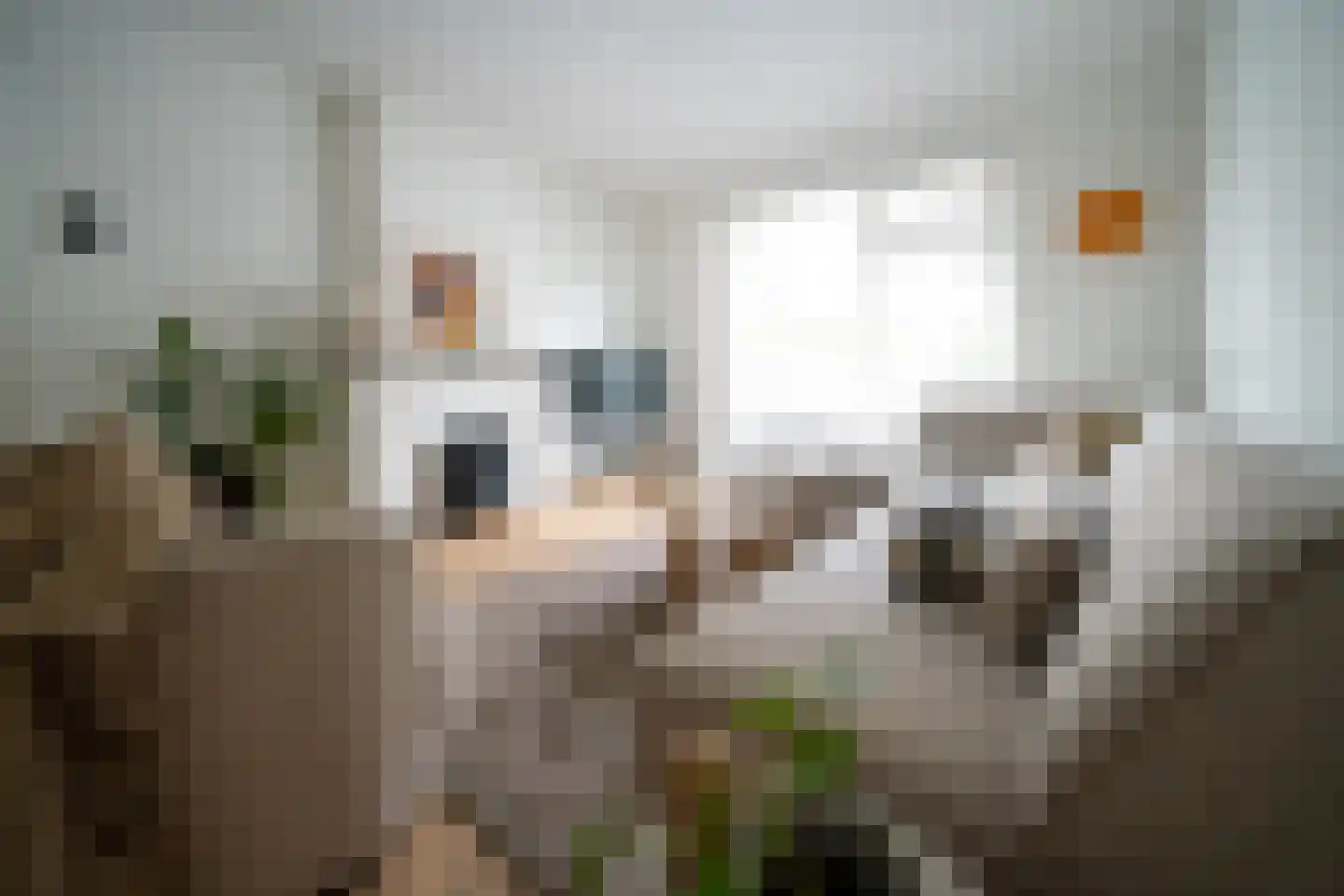 Van der Kempstraat 12 Nijmegen thumbnail 7