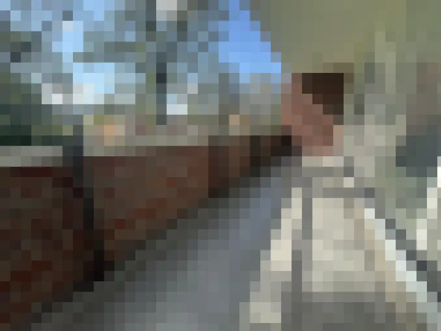Van der Kloosterstraat 32 Dordrecht thumbnail 20