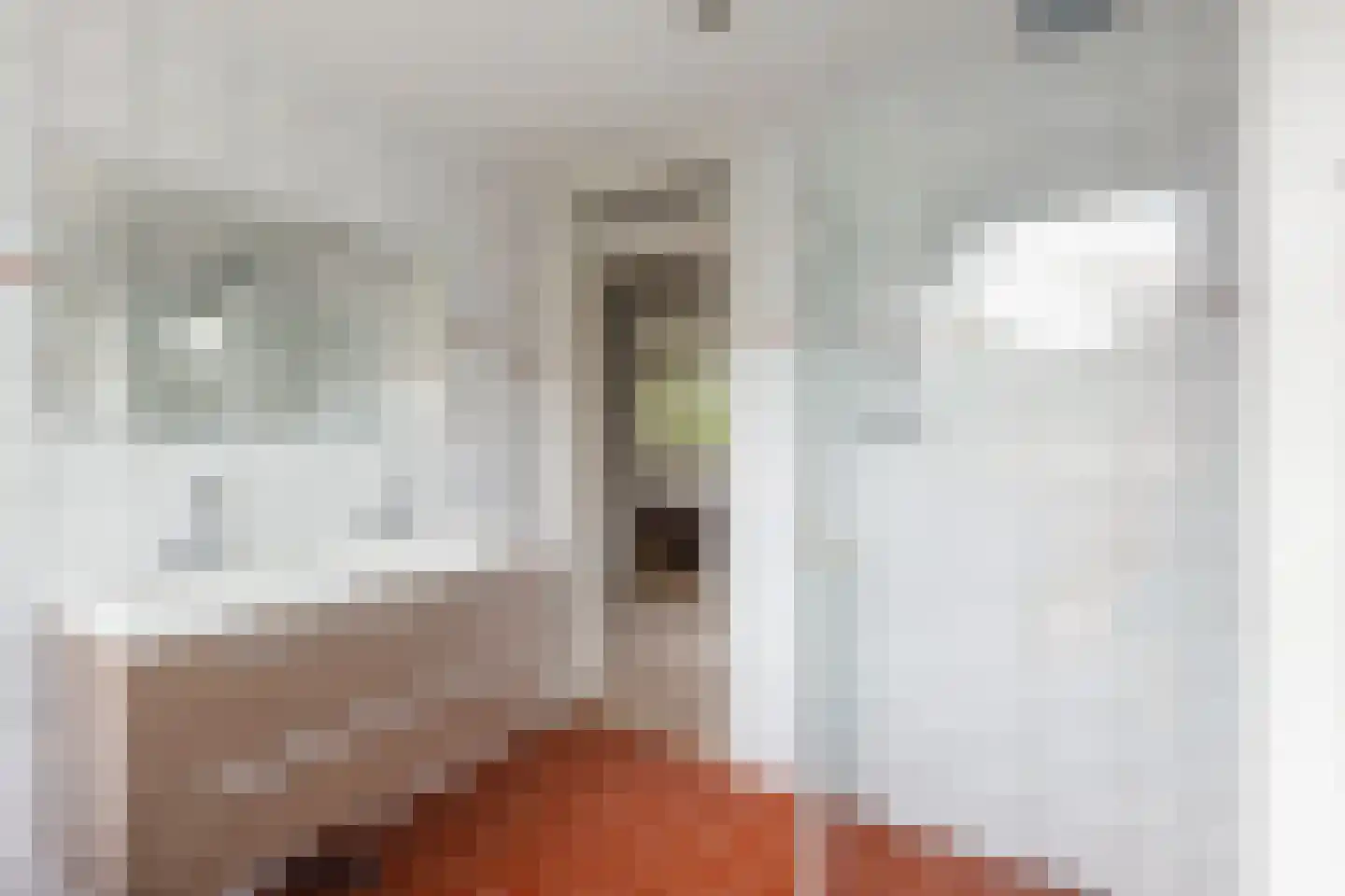 Van der Kloot Meyburgstraat 9 Rotterdam thumbnail 31
